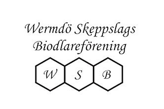 WSB